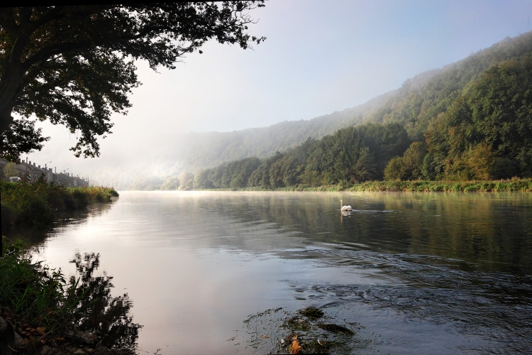 070923 MEUSE 14824 01P.jpg